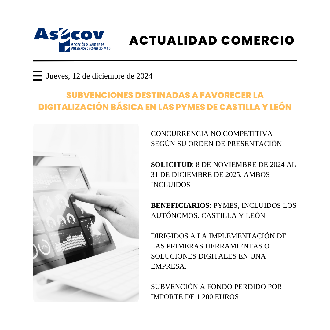 SUBVENCIONES DESTINADAS A FAVORECER LA DIGITALIZACIÓN BÁSICA EN LAS PYMES DE CASTILLA Y LEÓN