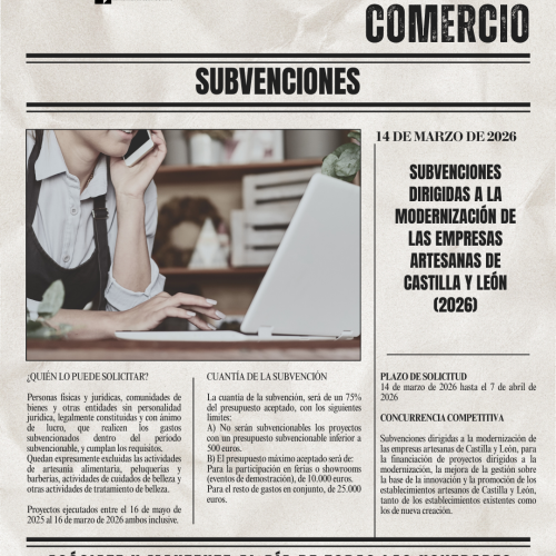 SUBVENCIONES DIRIGIDAS A LA MODERNIZACIÓN DE LAS EMPRESAS ARTESANAS DE CASTILLA Y LEÓN (2026)