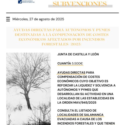 AYUDAS DIRECTAS PARA AUTÓNOMOS Y PYMES DESTINADAS A LA COMPENSACIÓN DE COSTES ECONÓMICOS AFECTADOS POR INCENDIOS FORESTALES (2025)
